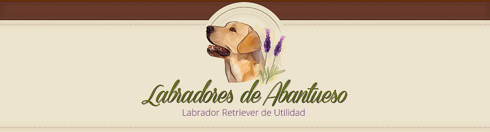 Logotipo de Labradores De Abantueso Labadores de Abantueso, Labador Retriever de Utilidad