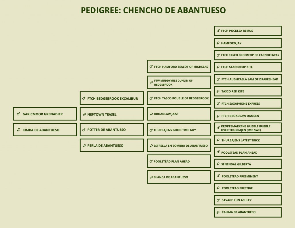 PEDIGREE CHENCHO