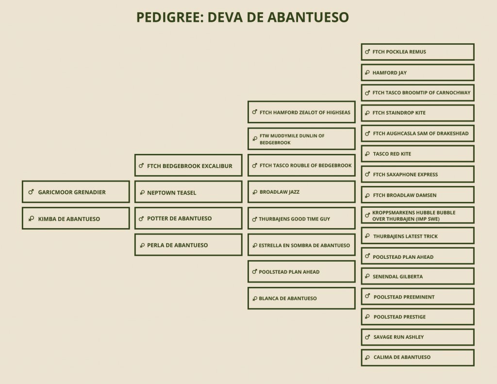 PEDIGREE-DEVA
