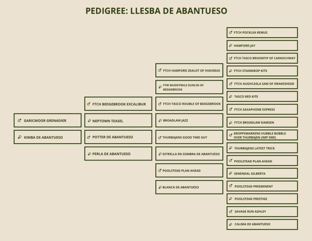PEDIGREE-llesba