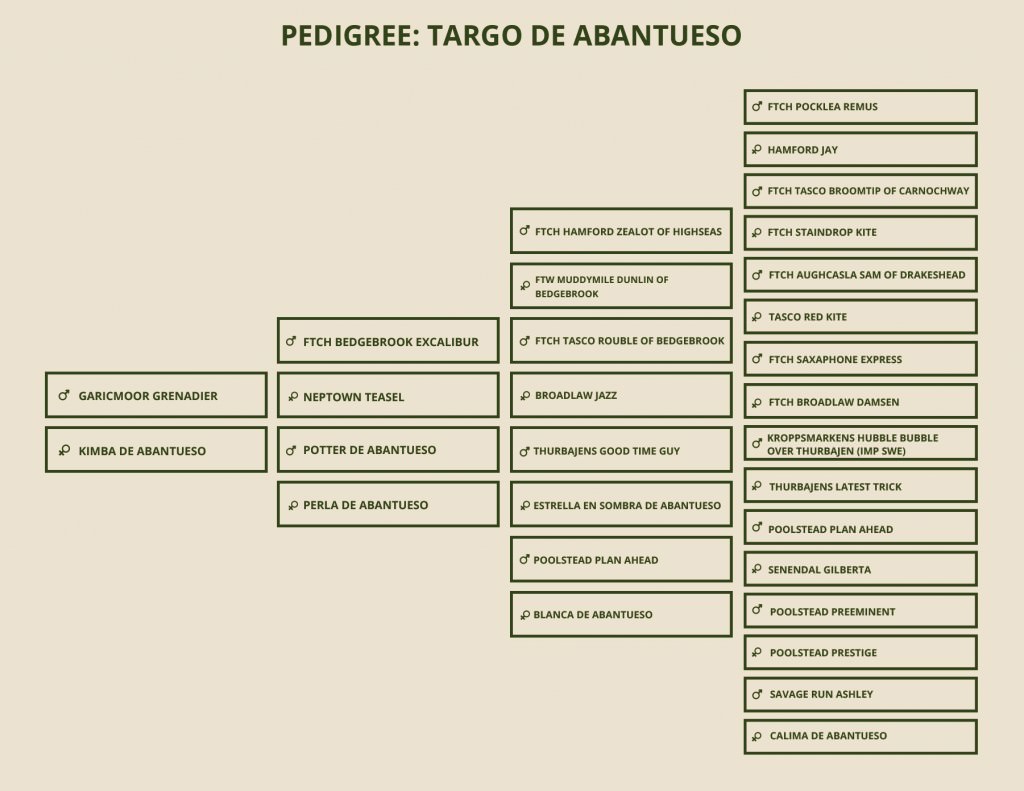 pedigree-targo