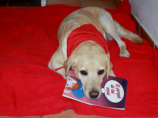 pety-entrenamiento