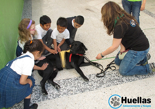 huellas3