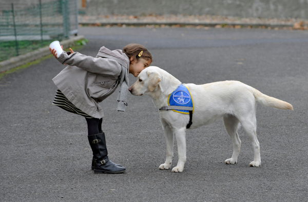 perro de terapia