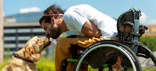 Temperamento como perros de asistencia